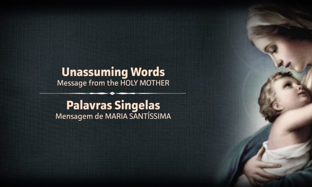 Unassuming words / Palavras singelas